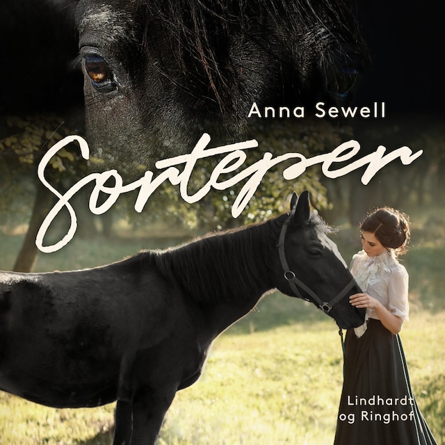 Book cover for Sorteper