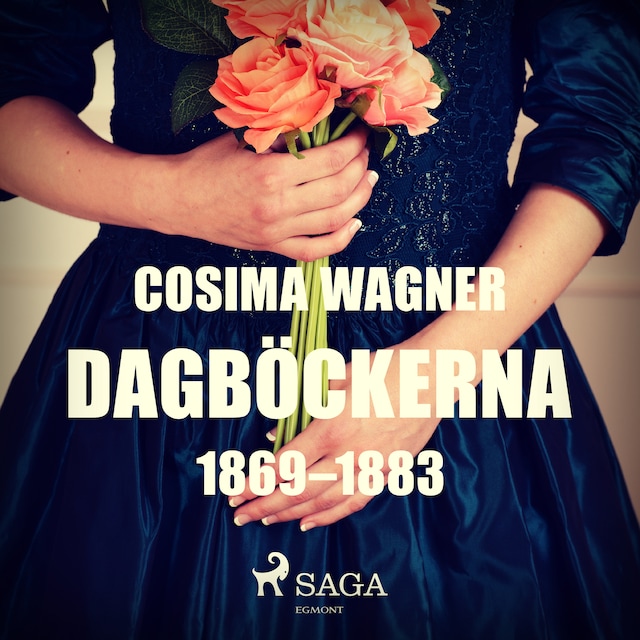 Book cover for Dagböckerna 1869–1883
