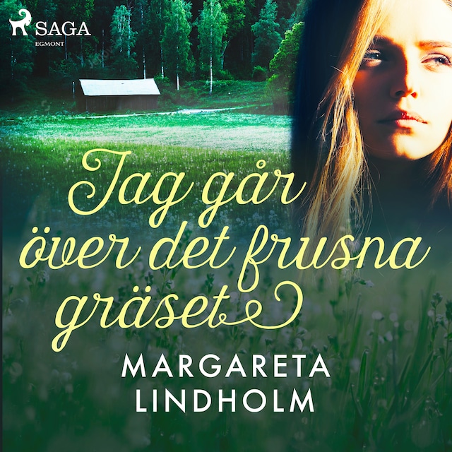 Book cover for Jag går över det frusna gräset