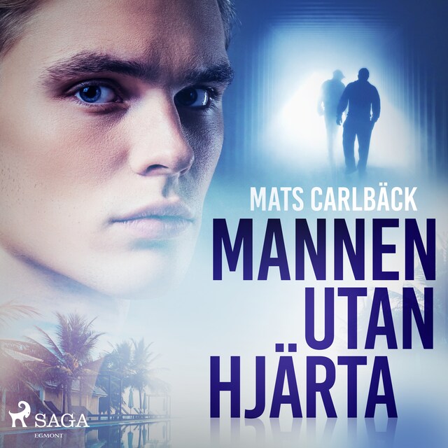 Book cover for Mannen utan hjärta