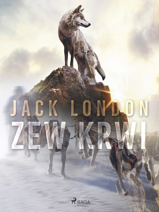 Buchcover für Zew krwi