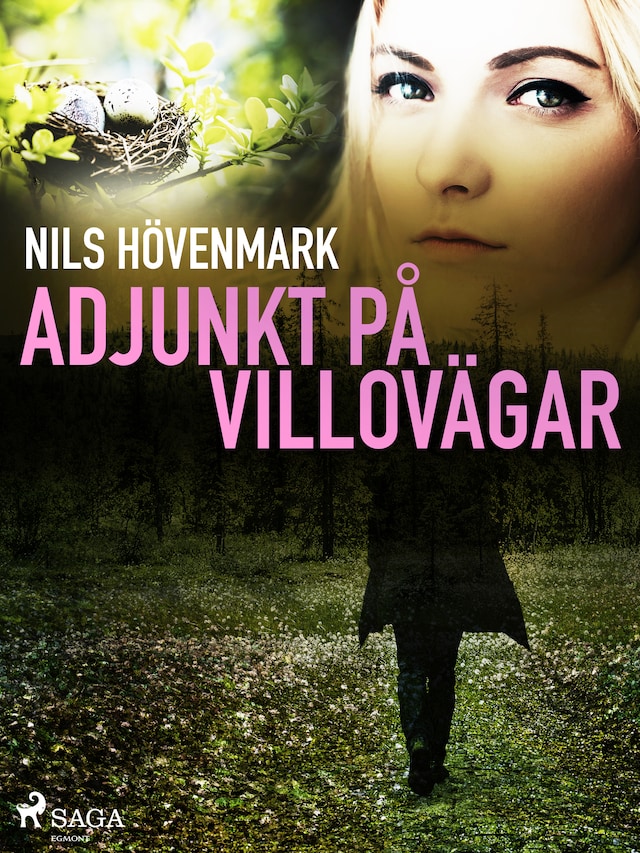 Book cover for Adjunkt på villovägar