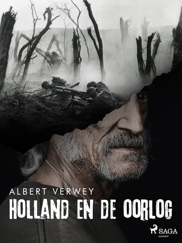 Book cover for Holland en de oorlog