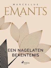 Een nagelaten bekentenis