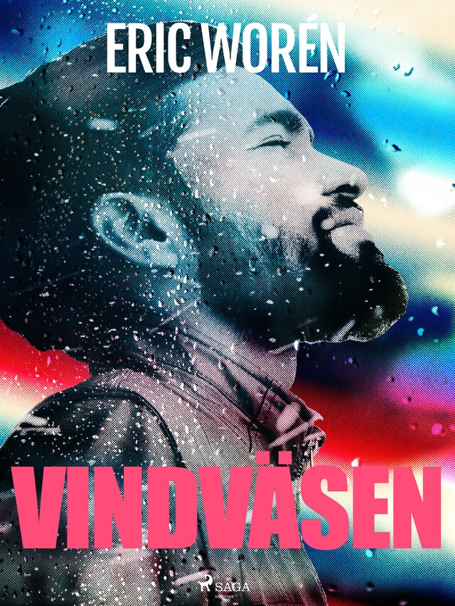 Copertina del libro per Vindväsen