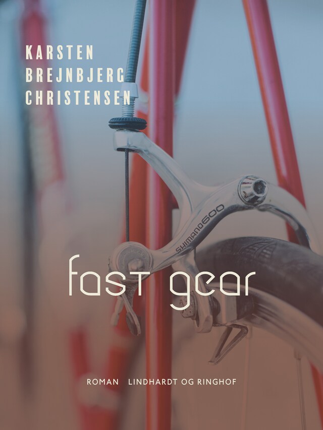 Bogomslag for Fast gear