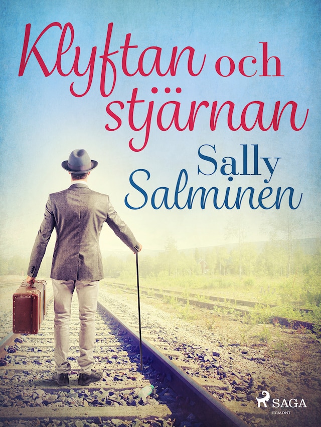 Book cover for Klyftan och stjärnan