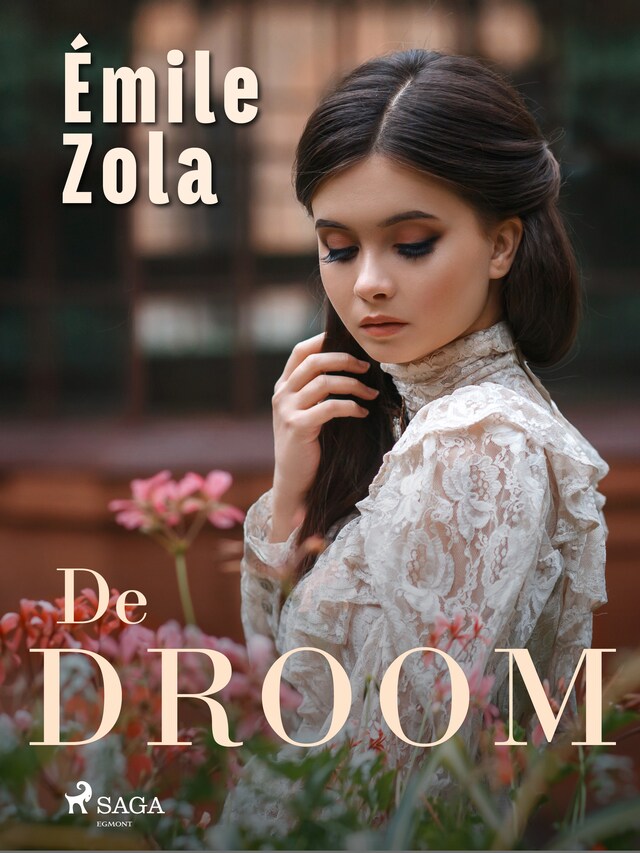 Book cover for De Droom