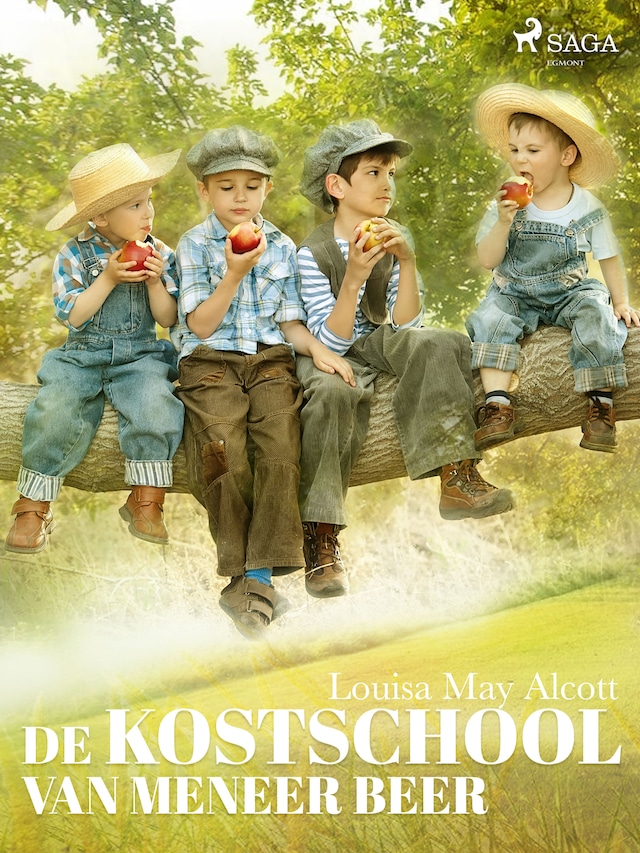 Boekomslag van De kostschool van meneer Beer