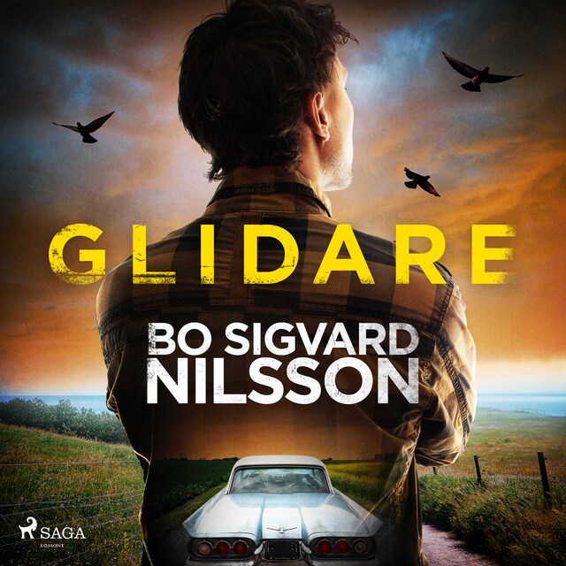 Portada de libro para Glidare