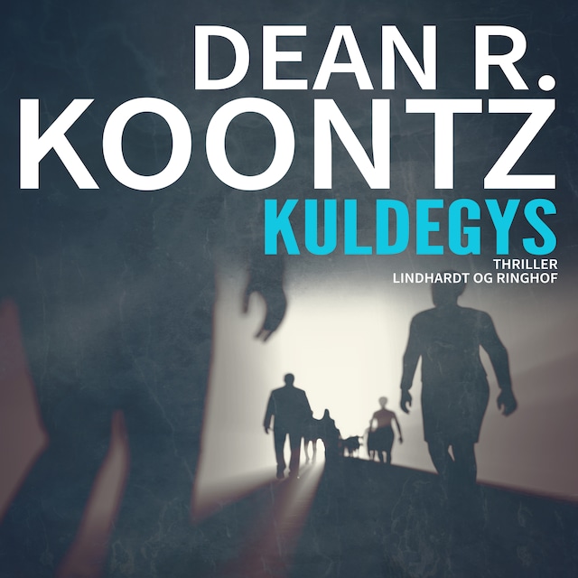 Book cover for Kuldegys