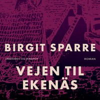 Vejen til Ekenäs