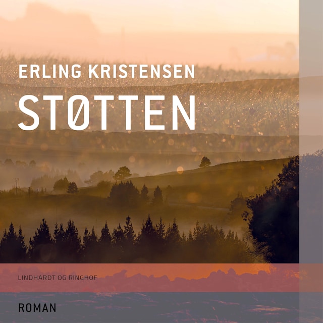 Book cover for Støtten