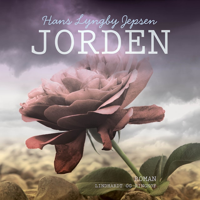 Book cover for Jorden