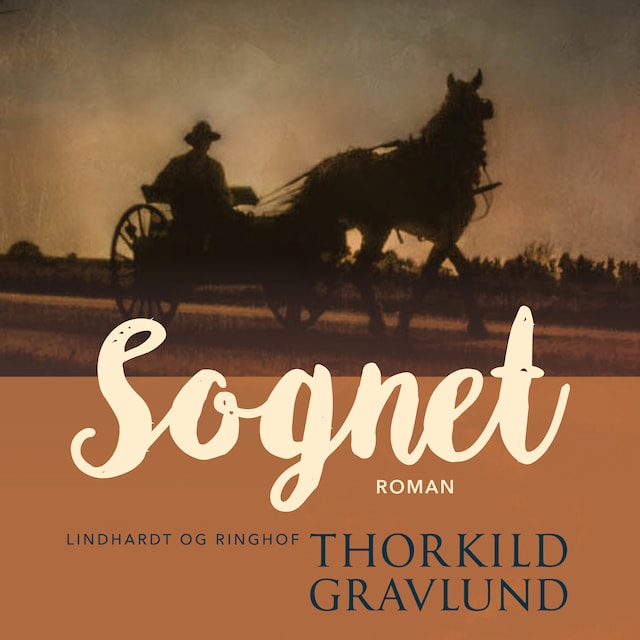 Book cover for Sognet