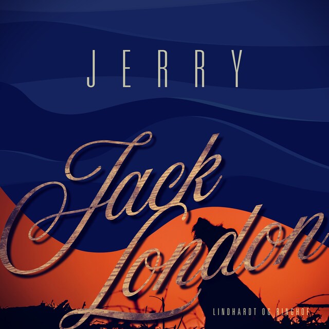 Boekomslag van Jerry