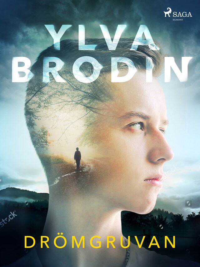 Couverture de livre pour Drömgruvan