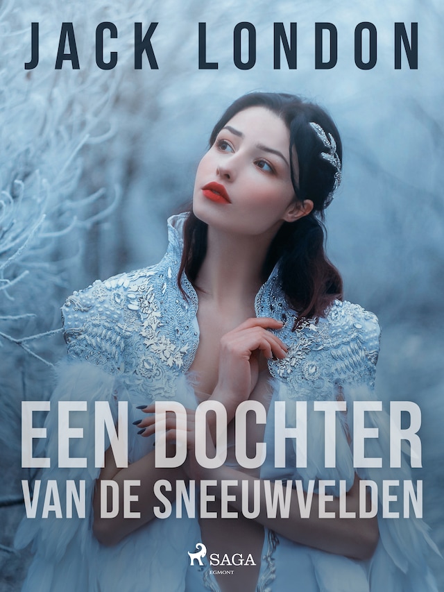 Buchcover für Een dochter van de sneeuwvelden
