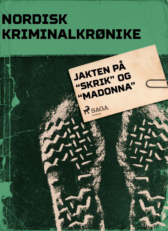 Buchcover für Jakten på "Skrik" og "Madonna"