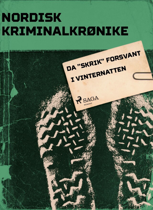 Book cover for Da "Skrik" forsvant i vinternatten