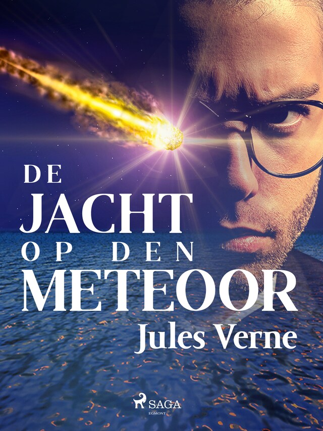 Book cover for De jacht op den meteoor