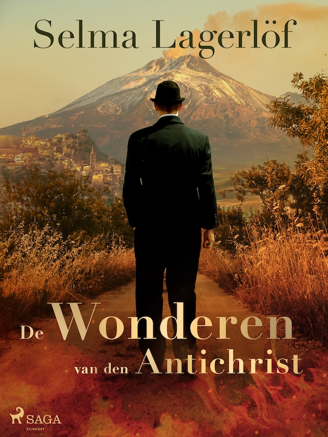 Bokomslag for De wonderen van den Antichrist