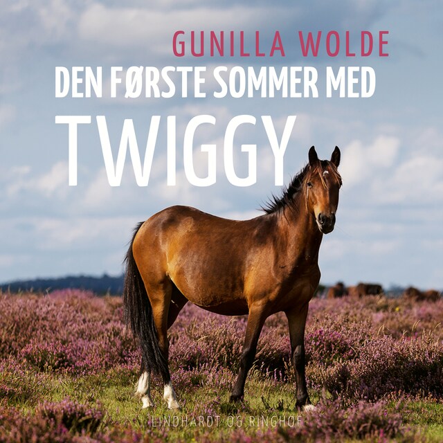 Bogomslag for Den første sommer med Twiggy