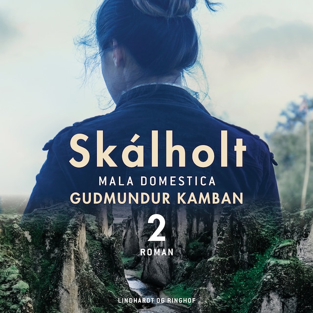 Book cover for Skálholt 2