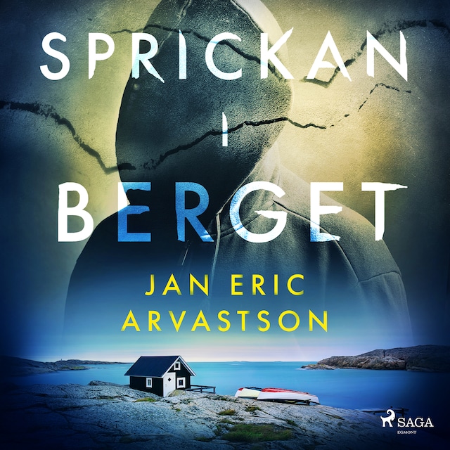 Book cover for Sprickan i berget