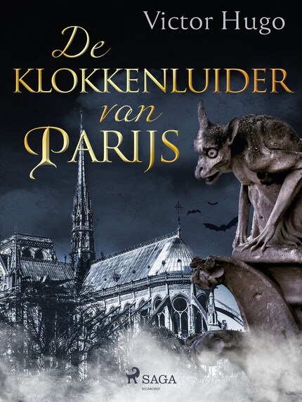 De klokkenluider van Parijs bookCoverFor
