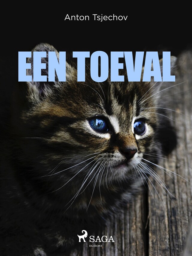 Book cover for Een toeval