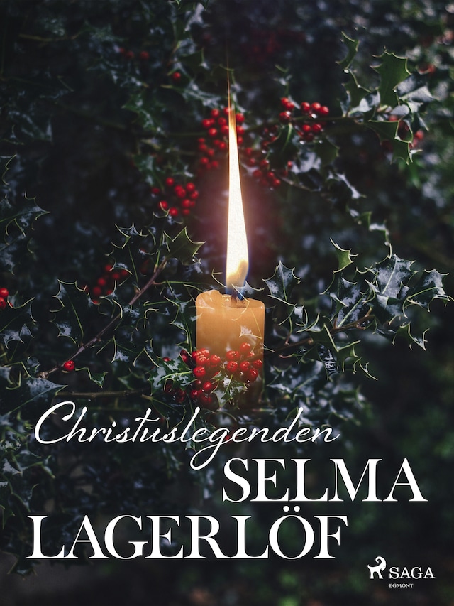 Book cover for Christuslegenden