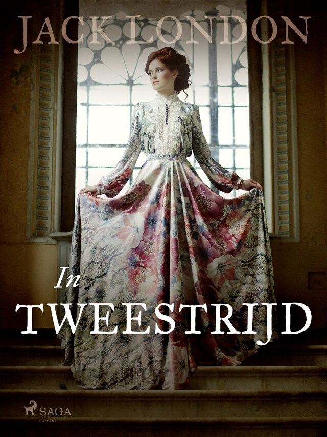 Book cover for In Tweestrijd