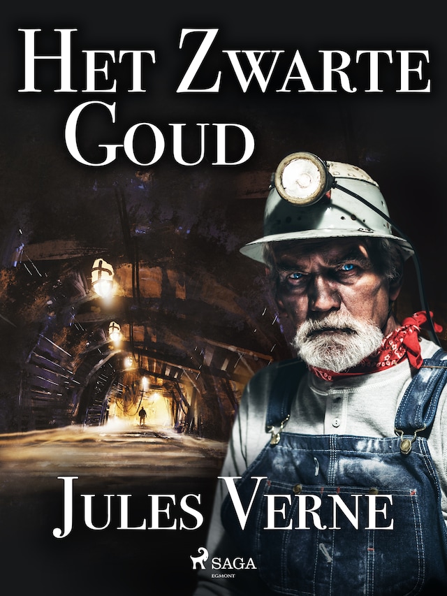 Book cover for Het Zwarte Goud
