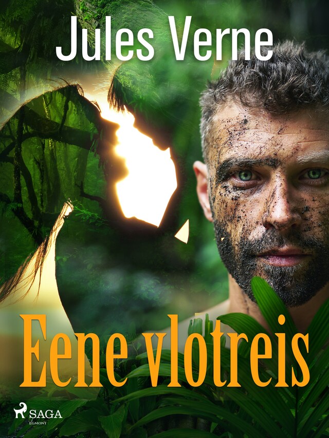 Book cover for Eene vlotreis