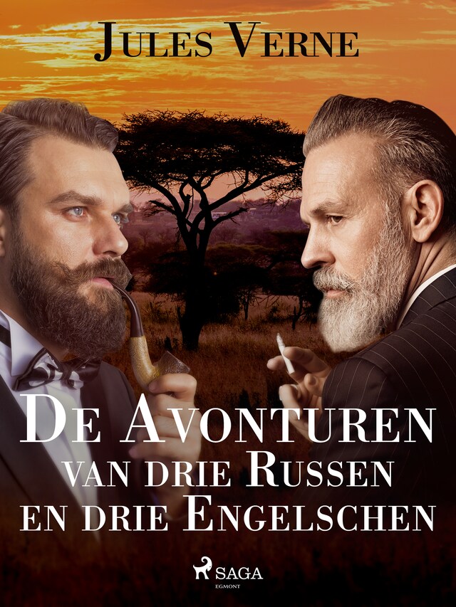 Book cover for De Avonturen van drie Russen en drie Engelschen