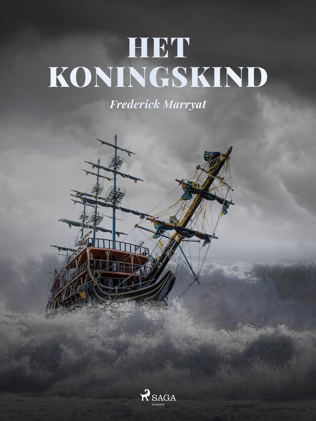 Book cover for Het koningskind