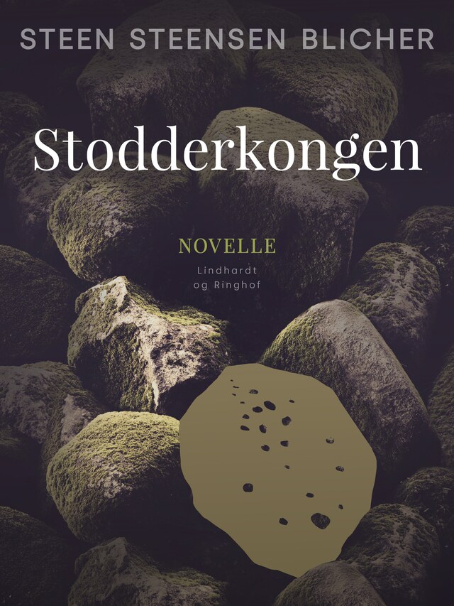 Bogomslag for Stodderkongen