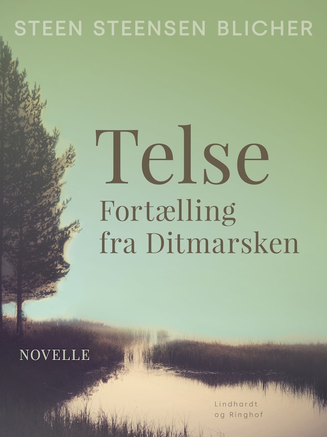 Bogomslag for Telse. Fortælling fra Ditmarsken