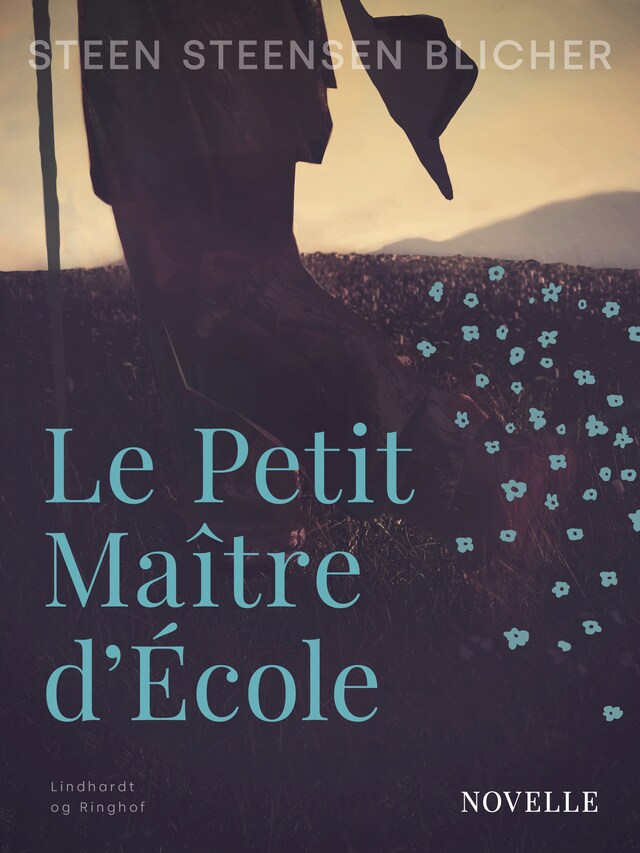 Bogomslag for Le Petit Ma&#238;tre d École