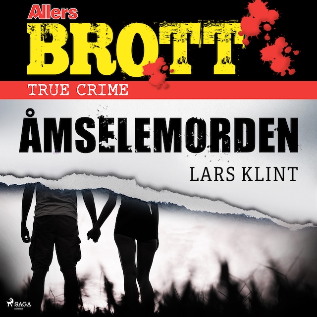 Book cover for Åmselemorden