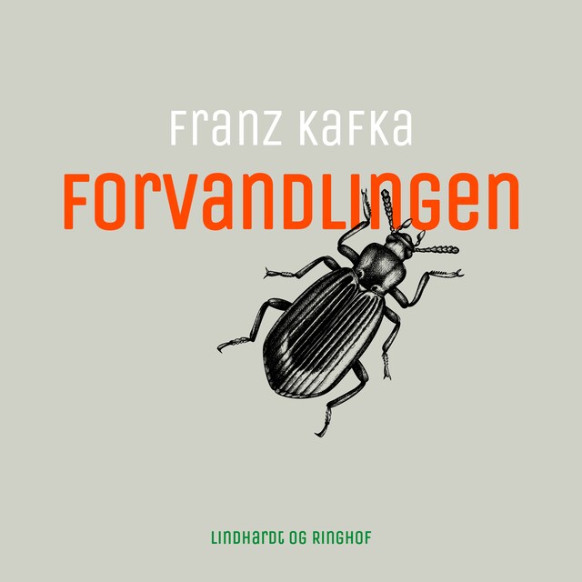 Buchcover für Forvandlingen