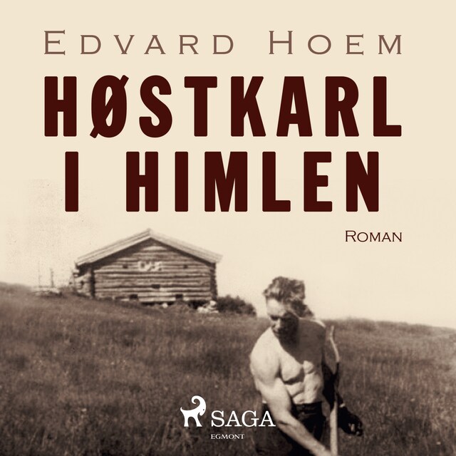 Okładka książki dla Høstkarl i himlen