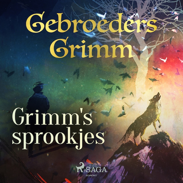 Book cover for Grimm's sprookjes
