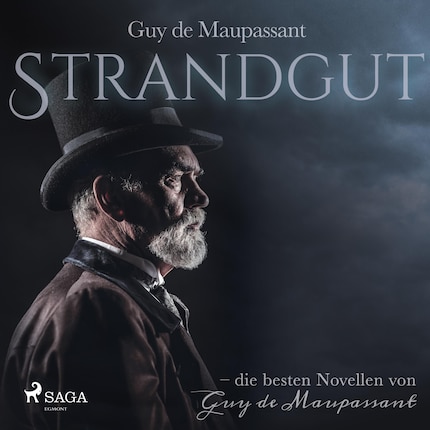 Strandgut (Ungekürzt) bookCoverFor