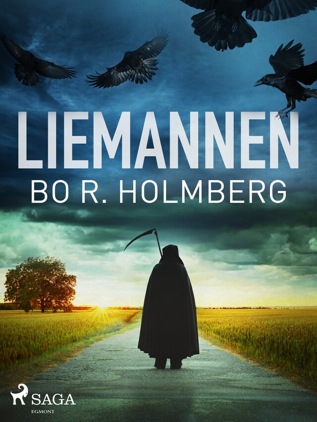 Book cover for Liemannen