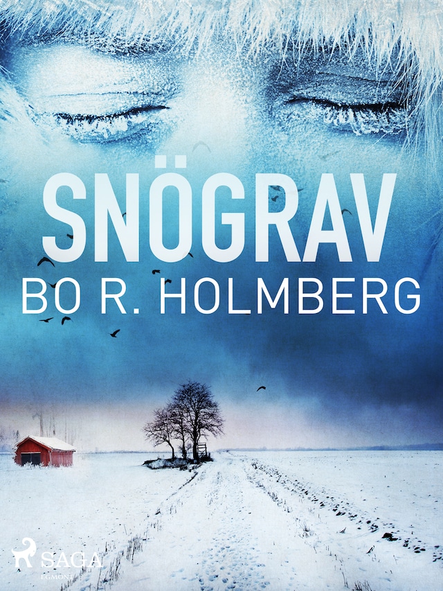 Couverture de livre pour Snögrav
