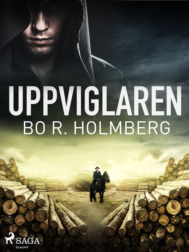 Couverture de livre pour Uppviglaren