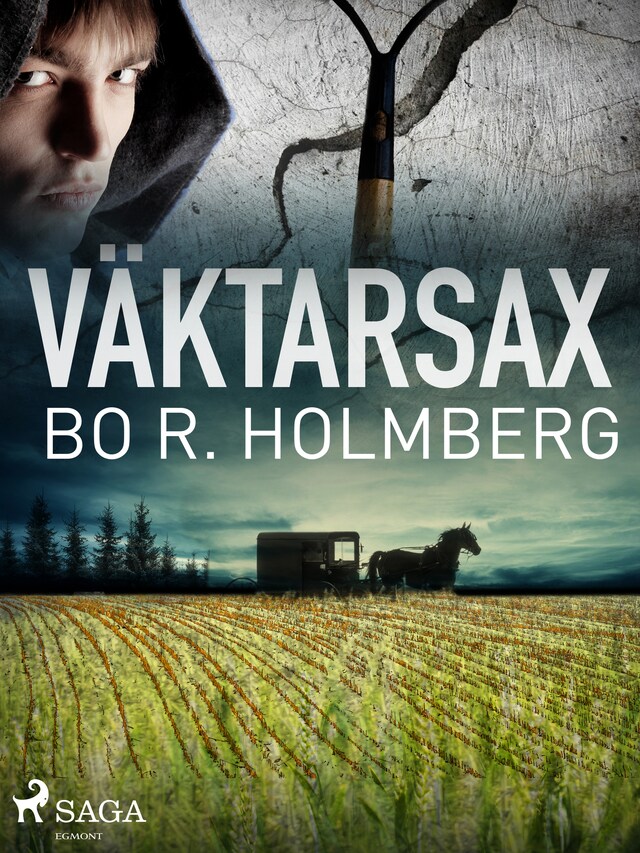Okładka książki dla Väktarsax