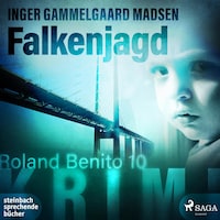 Falkenjagd - Roland Benito-Krimi 10